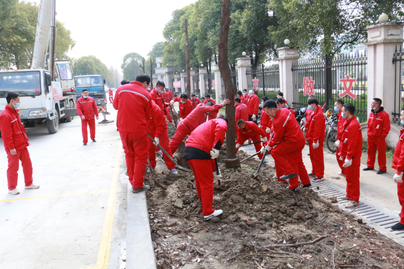 必发888官网集团团委组织“爱我必发888官网 维护生态”植树节活动