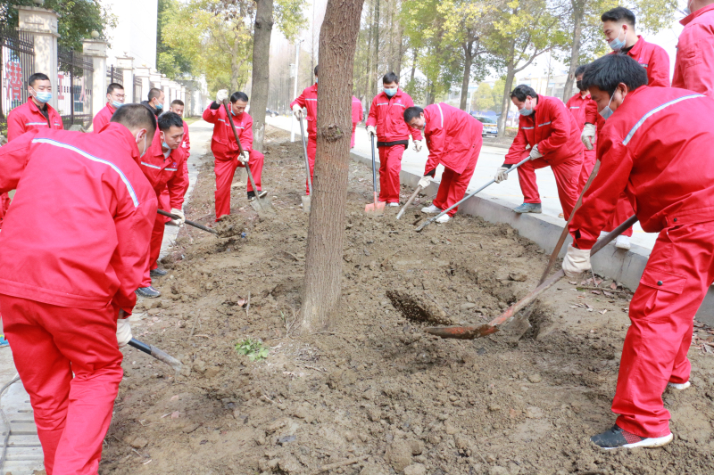 必发888官网集团团委组织“爱我必发888官网 维护生态”植树节活动